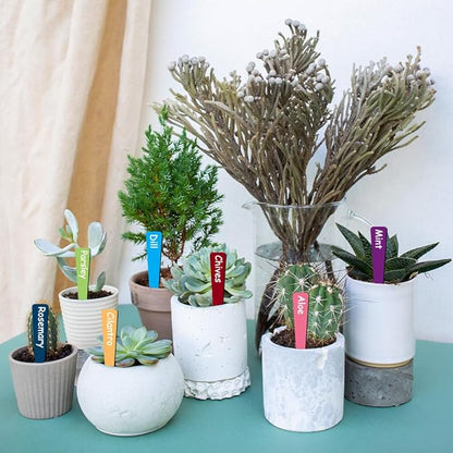 arricraft 15 Pcs Herb Theme Triangle Shaped Wooden Plant Tags, Colorful Waterproof Garden Stake Plant Marker for Indoor Outdoor Potted Nursery Marker Decoration Accessories 6x1 inch