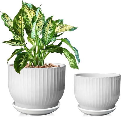 Ceramic Plant Pots,6.7 + 5.5 Inch,Ceramic Flower Pots,Planters with Drainage Hole and Saucer,Planters for Indoor Plants(Pure White)