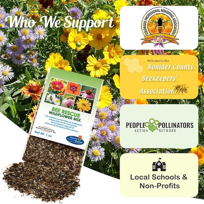Bee Rescue Wildflower Seed Mix 1oz - Premium Wildflower Seed Mix for Native Bees and Pollinators 1oz