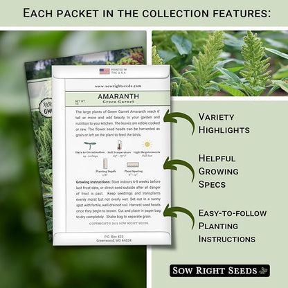 Sow Right Seeds - Amaranth Seed Collection for Planting - Non-GMO Heirloom Varieties to Grow an Outdoor Home Garden - Red & Green Garnet, Bronze, Love Lies Bleeding - Striking Cut Flowers