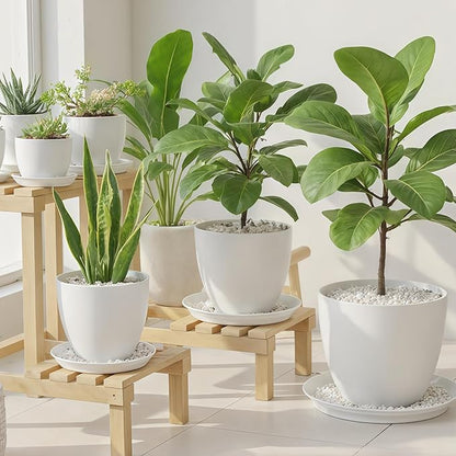 TRUEDAYS 20 Pack White Plant Saucers – 4 Sizes (6"/8"/10"/12") Plastic Flower Pot Trays for Indoor & Outdoor Plants, Drip Trays to Protect Floors & Surfaces