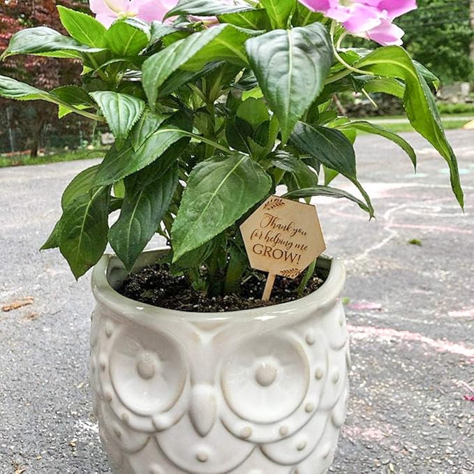 Thank You for Helping Me Grow Succulent Tags Teacher Appreciation Gifts, PARBEE 20PCS Hexagon Plant Stakes Labels Gift for Mother's Day Christmas Thanksgiving Baby Shower