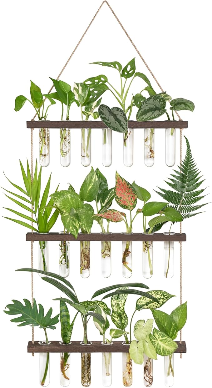 Mkono Plant Propagation Tubes, 3 Tiered Wall Hanging Terrarium with Wooden Stand & 21 Test Tube Vases for Hydroponic Plant Cutting & Home/Office Decor