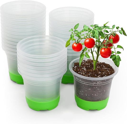 MIXC Thickened Clear Nursery Pots with Silicone Base for Easy Transplant 30 Packs 5 Inch, Transparent Plant Pot Reusable Seedling Pots for Vegetable Propagation, Root Cutting, Seed Starting, Green