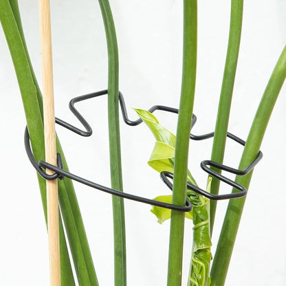 Monstera Plant Stem Support Set of 5 - Durable Stabilizers for Monstera and Climbing Plants - Ideal for Plant Lovers and Garden Care