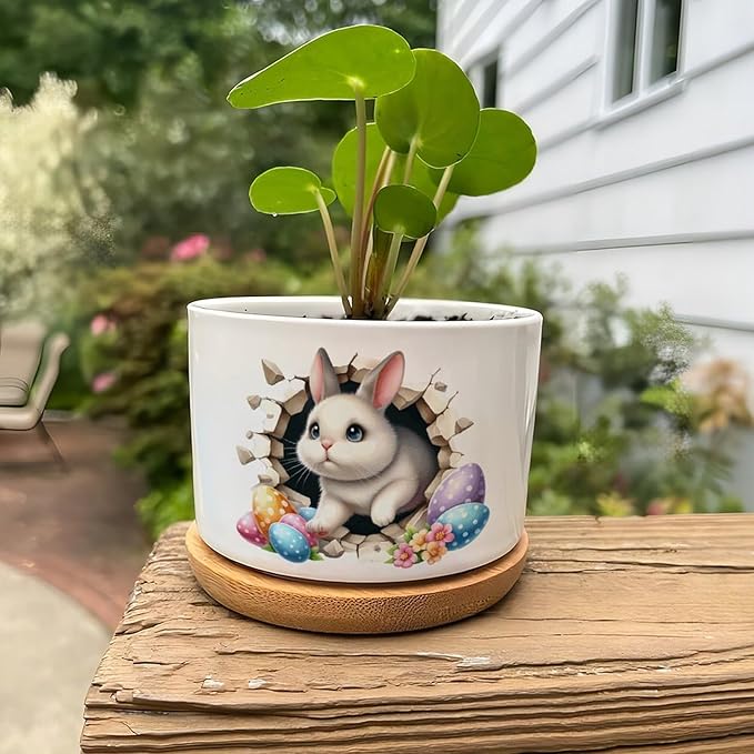 Cute Easter Bunny Break Through Eggs Ceramic Pots for Plants with Drainage Holes Round Flower Pot Bamboo Tray Orchid Pot Succulents Pots for Outdoor Indoor Plants
