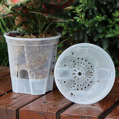 Plant Pots 6 inch Set of 5, Self Watering Pots for Indoor Outdoor, Self Watering Planters Flower Pots with Drainage Hole and Saucer Reservoir (Clear)