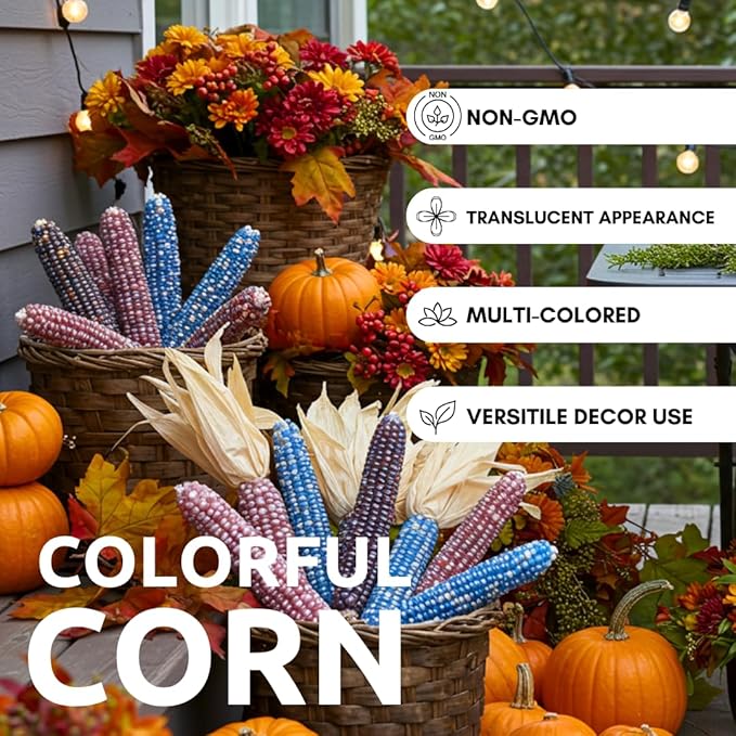 Glass Gem Indian Corn Seeds – 125+ Non-GMO Seeds – Vibrant Multi-Colored Translucent Kernels – Heirloom Variety – Ideal for Gardening, Decor & Crafts