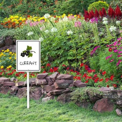 Currant Marker Yard Sign with Stakes 8in×12in, Sturdy Aluminum Yard Signs, Plant Markers for Vegetable Flowers Plants, Plant Labels Sign, Outdoor Garden Stakes Supplies for Plant