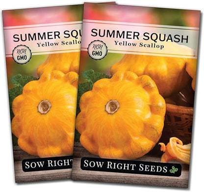 Sow Right Seeds - Yellow Scallop Squash Seed for Planting - Non-GMO Heirloom Packet with Instructions to Plant a Home Vegetable Garden, Traditional Summer Variety - Tasty Mini Squash (2)