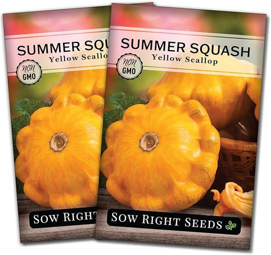 Sow Right Seeds - Yellow Scallop Squash Seed for Planting - Non-GMO Heirloom Packet with Instructions to Plant a Home Vegetable Garden, Traditional Summer Variety - Tasty Mini Squash (2)