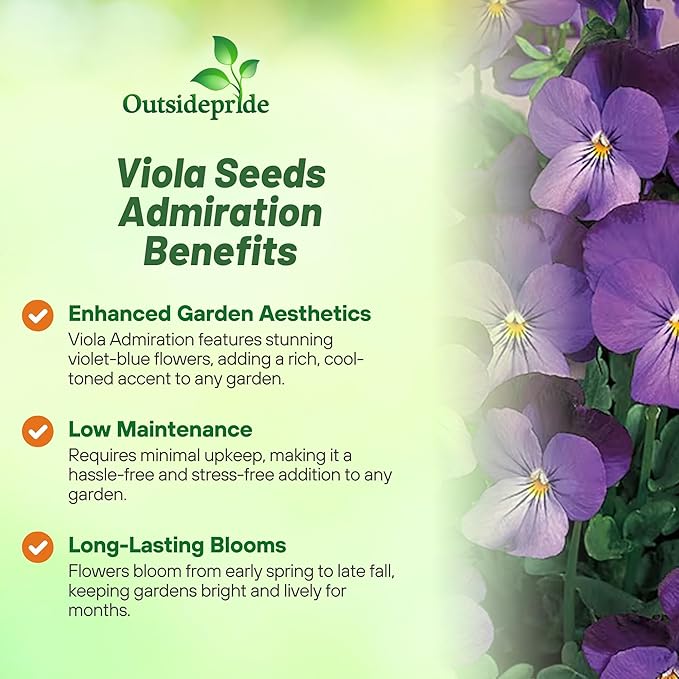 Outsidepride Admiration Viola Pansy Seeds for Planting - 1000 Pcs. Perennial, Cold-Hardy & Pollinator Friendly Flowers with Fragrant Blooms for Garden Beds, Borders & Container Displays