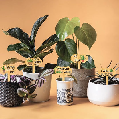 arricraft 15 Pcs Funny Plant Labels, Wooden Herb Markers Flowers T Type Tags Garden and Greenhouse Labels with Printed Words Garden Tags for Indoor and Outdoor Potted Used to Distinguish Potted Plants
