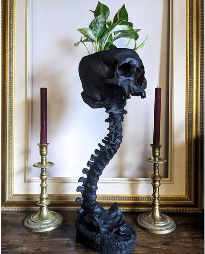 Skull Planter Gothic Skull Vase, Resin Skulls Bowl with Spine Stand Spooky Halloween Skeleton Tall Planters Centerpiece for Gothic Home Decor, Flower Pot, Candy Bowl