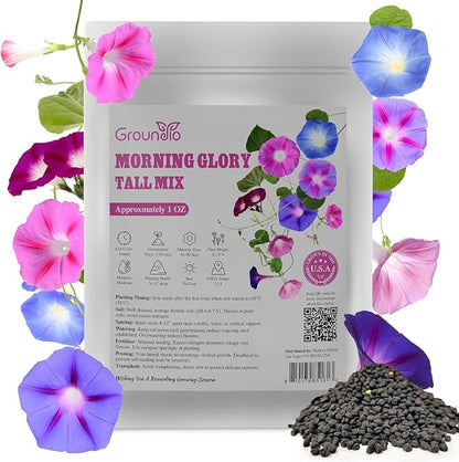 Morning Glory Seeds, Mix Color and Tall, Large Pack 1 Ounce Climbing Vine Flower Seeds Fast Growing for Planting Outdoors, Open Pollinated | Non-GMO | Heirloom | USDA 2-11