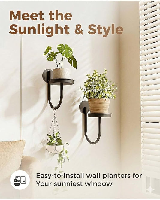 Leaf&lull Wall Plant Holder Planter with Wall Planters for Indoor Plants Plant Hanger Hanging Plant Holder Wall Hanging Decor 2 Pack Black