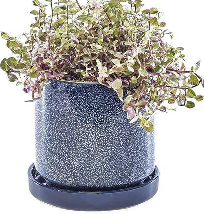 CHIVE ‘Minute’ Ceramic Planter Pot — Cute 5” Colorful Succulent Pots for Indoor & Outdoor House Plants — Beautiful Modern Farmhouse Kitchen Decor — Cosmo Blue
