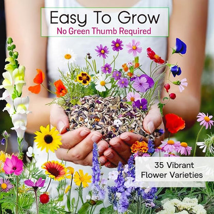 NatureZ Edge Wildflower Seeds Mix – 1/4 lb, 170,000 Seeds, 35 Variety Perennial & Annual Flower Seeds to Plant Outside, Bulk Wildflower Seeds, Wild Flower, Semillas de Flores