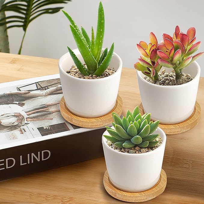 Tosnail 12 Pack 2.5 Inch Small Succulent Pots with 12 Bamboo Trays, Round White Ceramic Mini Plant Pots, Tiny Succulent Planters, Cactus, Flower, Air Plant Containers, Modern Home and Office Decor