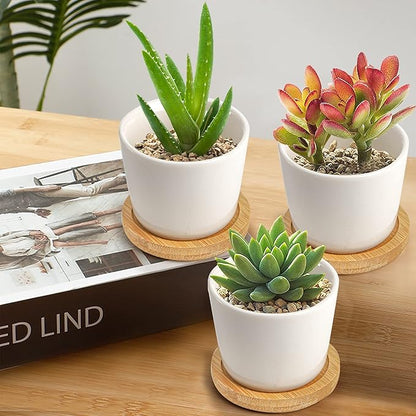 Tosnail 12 Pack 2.5 Inch Small Succulent Pots with 12 Bamboo Trays, Round White Ceramic Mini Plant Pots, Tiny Succulent Planters, Cactus, Flower, Air Plant Containers, Modern Home and Office Decor