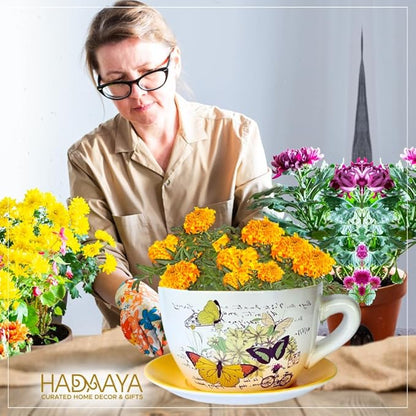 7.5" Round Ceramic Teacup Shape Planter Pot with Saucer for Succulents Orchids Herbs Cactus Indoor Houseplants Flowers Yellow Butterfly Teacup Planter