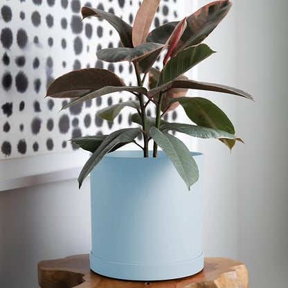 Bloem Mathers 10" Misty Blue Round Modern Resin Garden Planter Pot with Drainage Holes and Removable Saucer Tray Included