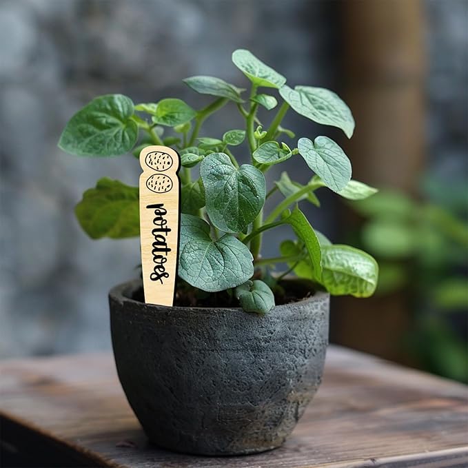 arricraft 15 Pcs Wood Plant Labels, 15 Styles Garden Labels Sign with Vegetable Patterns Vegetable Name Tags Wooden Markers for Indoor and Outdoor Plants Vegetables Seed Potting 6×1inch