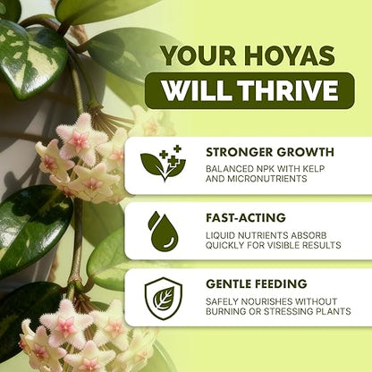 Hoya Fertilizer – Liquid Plant Food for Hoya, Supports Thick Leaves & Steady Growth, 32 oz
