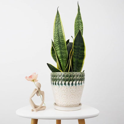 6 Inch Ceramic Planter Pots with Drainage Holes, Saucers and Mesh Pads for Indoor-Outdoor Plants, Succulent Orchid Flower Large Round Plant Pot, Set of 2 (Green+White)