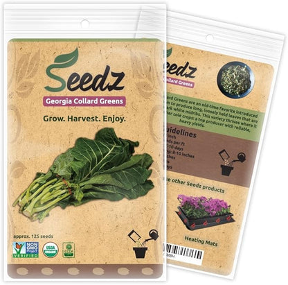 Organic Collard Greens Seeds, APPR. 125, Georgia Collard Greens, Heirloom Vegetable Seeds, Certified Organic, Non GMO, Non Hybrid, USA
