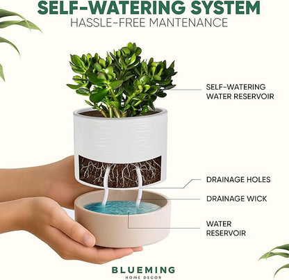 Ceramic Self Watering Plant Pots – 6 Inch Planter for Indoor House Plants with Drainage & Water Storage for Succulents (White & Beige, 7" Tall)