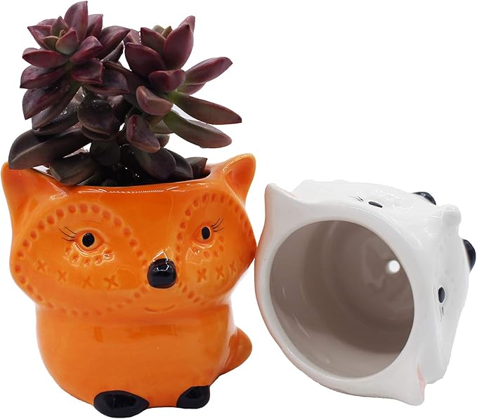 Cute Fox Gifts Animal Succulent Planters 2 Pack Ceramic Flower Pots with Drainage Hole, Office Décor