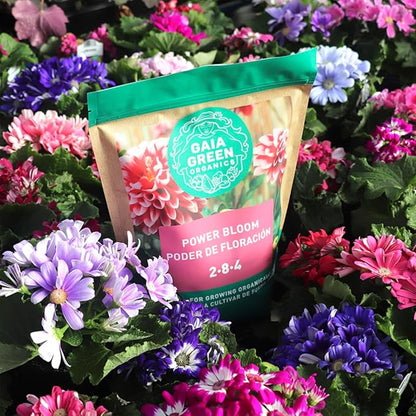 Gaia Green Power Bloom, 500 g Pouch