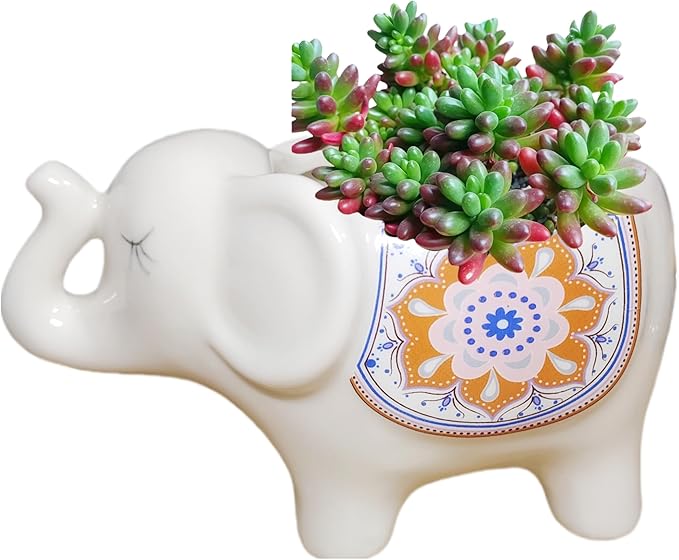 Cute Animal Elephant Shaped Ceramic Succulent Cactus Air Plant Flower Pots Planters-Plant Not Included (White)