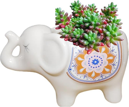 Cute Animal Elephant Shaped Ceramic Succulent Cactus Air Plant Flower Pots Planters-Plant Not Included (White)