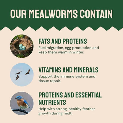 Hatortempt 1.8lb Dried Mealworms for Wild Birds - 50% Protein Meal Worms for Wild Birds - Attracts Bluebirds, Starlings, Wrens, Woodpeckers, Cardinals and Robins