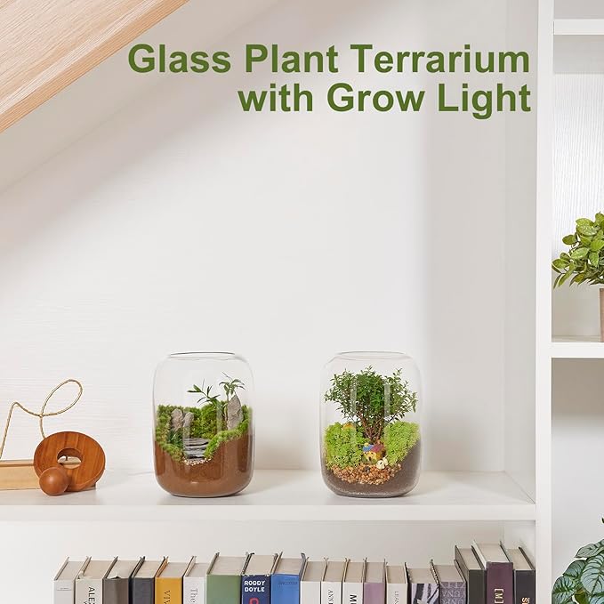 Desktop Glass Terrarium with Time-Controlled Grow Light, H 8.6IN x D 6.3IN Plant Propagation Station and Air Planter for Office and Home