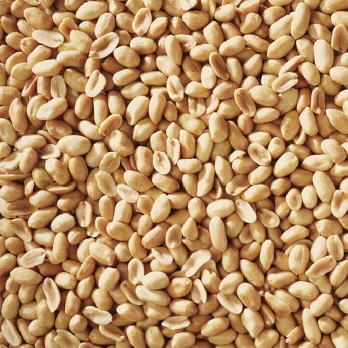 Happy Wings Shelled Peanuts Seeds Wild Bird Food - 5 Pounds I No Grow Seed I Bird Seed for Wild Birds