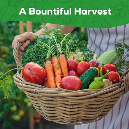 10 Vegetable Seeds Pack - Non GMO, Heirloom - Basil, Snap Pea, Broccoli, Bean, Jalapeño Pepper, Tomato, Lettuce, Cucumber, Carrot, Zucchini Seeds for Planting Home Garden