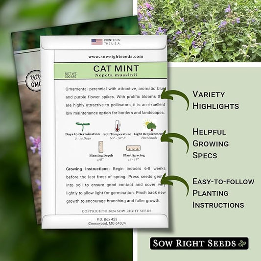 Sow Right Seeds - Catmint Seeds for Planting - Perennial Cat Mint Plant - Easy to Grow Nepeta for Attractive Garden - Ideal for Pollinators - Heirloom Non-GMO Variety - Indoor or Outdoor Growing (2)