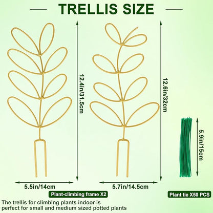 AUGSUN 2 Pcs Gold Trellis Leaf Shape 12 Inch Metal Plant Support with 50 Ties for Climbing Potted Plants Houseplant Garden Indoor Outdoor