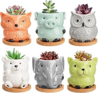 Frcctre 6 Pack Small Ceramic Succulent Planter With Drainage and Bamboo Tray, Cute Animal Flower Pots for Indoor Plants, Cactus, Garden, Home Decor