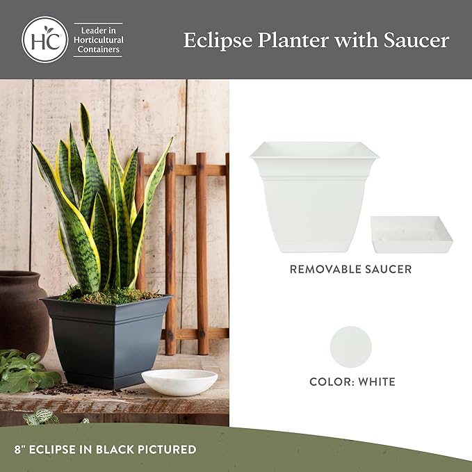 The HC Companies 6 Inch Eclipse Square Planter Pots with Drainage Holes & Attached Saucer, Lightweight UV-Resistant Plastic Indoor Outdoor Planters, 4-Pack Flower Pots for Garden & Home Decor, White