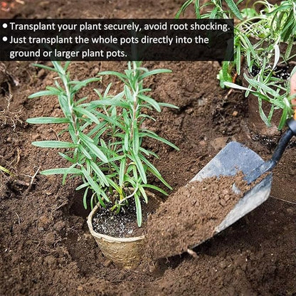 100-Pack 4 Inch Organic Peat Pots for Seed Starting Pots - Biodegradable Plantable Nursery Pots with Drainage Holes, Small Seed Starting Starter Tray, Eco-Friendly & Compostable Seedling Containers