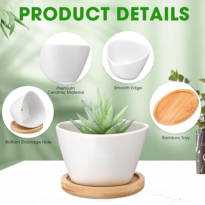 Domensi 24 Pack Succulent Planter Pots 3 Inch Small Plant Pots Mini Ceramic Succulent Planter Holder with Drainage Holes and Bamboo Saucers (White)
