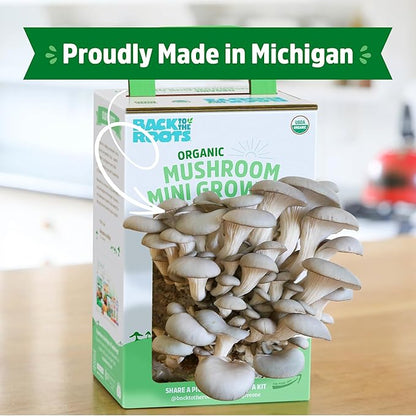 Back to the Roots Organic Mini Mushroom Grow Kit, Harvest Gourmet Oyster Mushrooms In 10 days, Top Gardening Gift, Holiday Gift, & Unique Gift