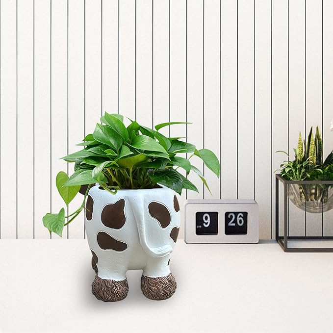 EOBTAIN Cute Animal Resin Succulent Small Pots Funny Planters for Indoor Plants Mini Unique Cactus Planter Pots Living Room Office Desktop Table Decor, Cow Lover Gifts, 4 Inch