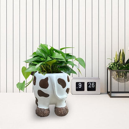 EOBTAIN Cute Animal Resin Succulent Small Pots Funny Planters for Indoor Plants Mini Unique Cactus Planter Pots Living Room Office Desktop Table Decor, Cow Lover Gifts, 4 Inch