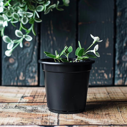 25 Packs 4 5 6 Inch Nursery Pots Round Flower Pots Decorative Plastic Pots for Plants with Drainage Hole Seed Starting Pots for Seeding, Succulent(6 Inch, Black)