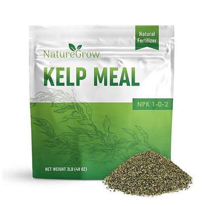 Kelp Meal 1-0-2 Natural Plant Food, Boost Plant Health and Yield! (24lb)